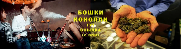 крисы Наволоки