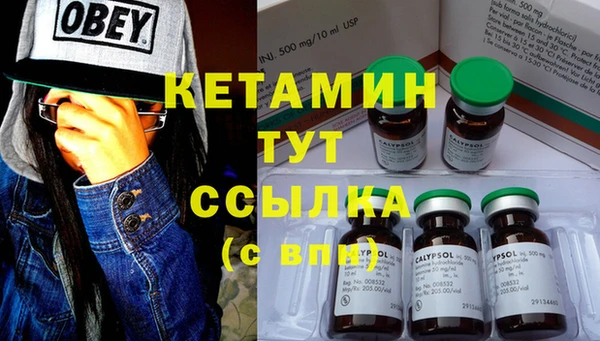 крисы Наволоки