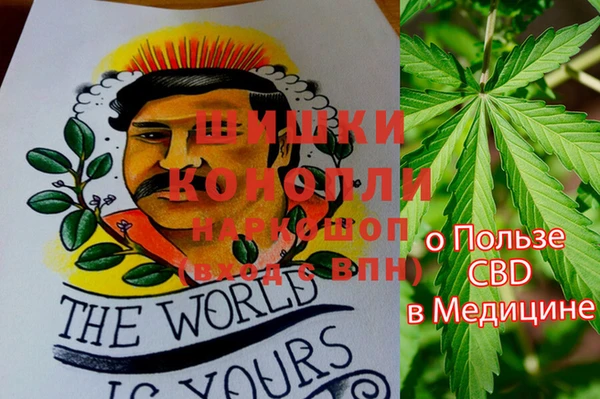 МДПВ Надым