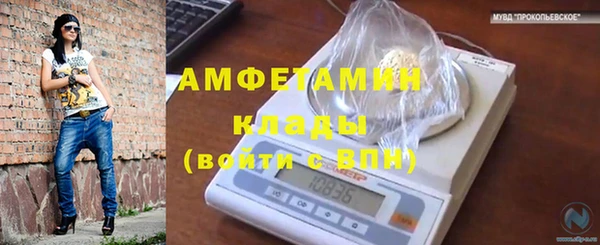 крисы Наволоки