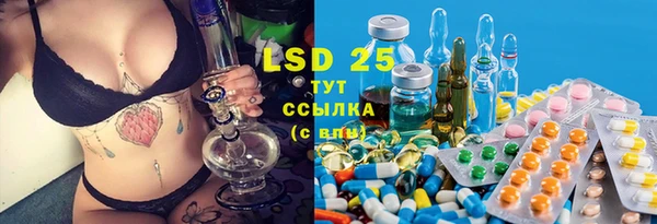 крисы Наволоки