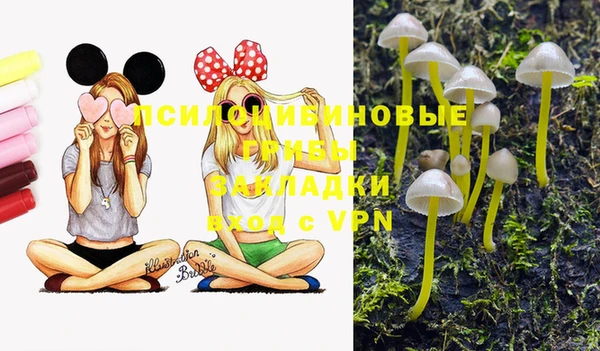 МДПВ Надым