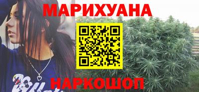 мдпв Камышлов