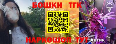 мдпв Камышлов