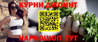 мдпв Камышлов