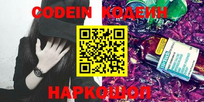 мдпв Камышлов