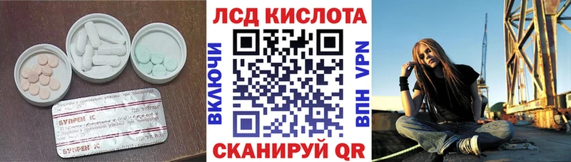 где купить наркоту  Шали  Лсд 25 экстази ecstasy 