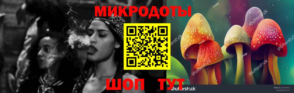 Псилоцибиновые грибы Cubensis Шали